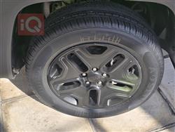 جيب رينيجيد